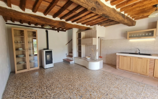 Terratetto ristrutturato in vendita a Capannori